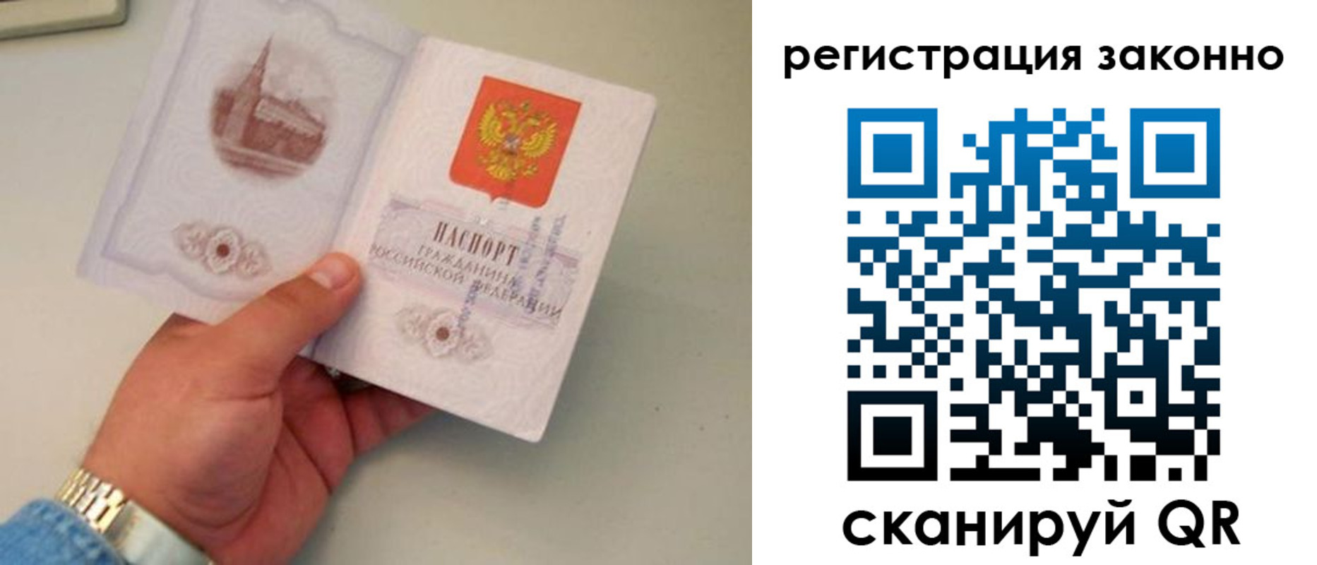 прописка для школы в Курчалом